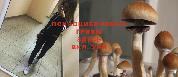 СК Карпинск