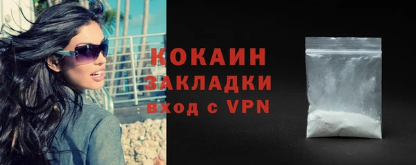 метадон Инта