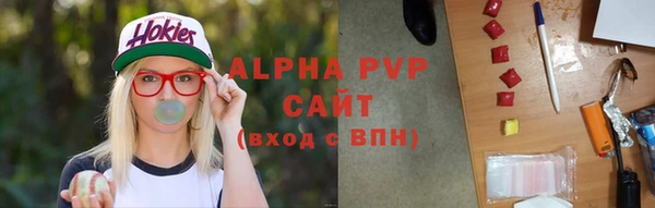 молекула духа Инсар