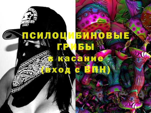 шишки Иннополис