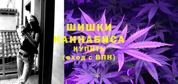 молекула духа Инсар