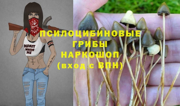 молекула духа Инсар