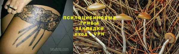метадон Инта