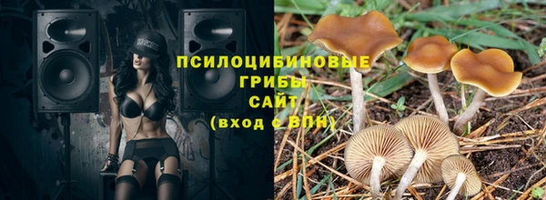 шишки Иннополис