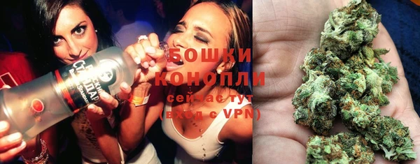молекула духа Инсар