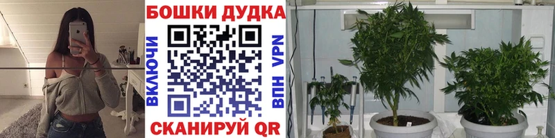Купить где  Ершов  Бошки Шишки сатива 